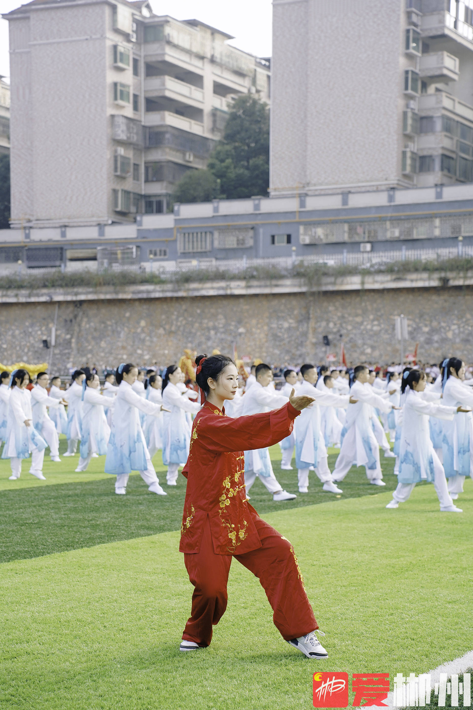 莱州武官小学太极拳的简单介绍 莱州武官小学太极拳的简单

先容
（太极拳中小学） 太极拳